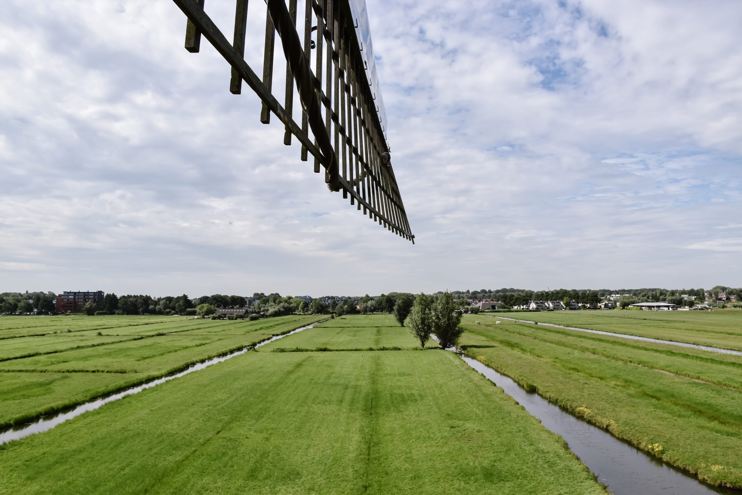 Polder Alblasserwaard in Kinderdijk