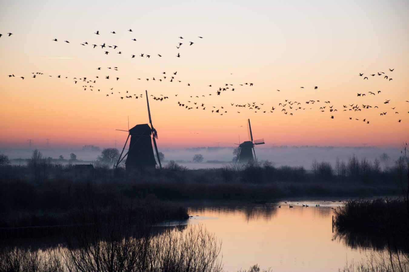 Zonsopkomst UNESCO Werelderfgoed Kinderdijk